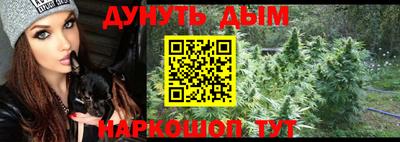 мдпв Славгород
